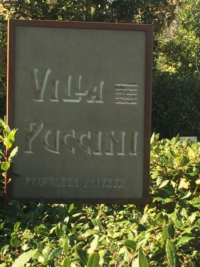 Melon'S House Villa ตอร์เร เดล ลาโกปุชชีนี ภายนอก รูปภาพ